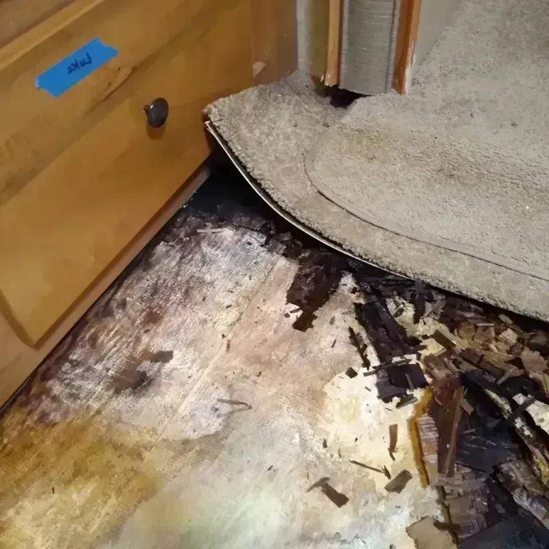 Wood Floor Water Damage in Oakland, FL